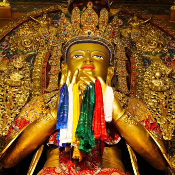 Découverte de la vallée de Kathmandou avec trek de Nagarkot, Namobuddha, Balthali et Panauti et un séjour au Chitwan 11 jours